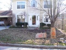 Before yard cleanup